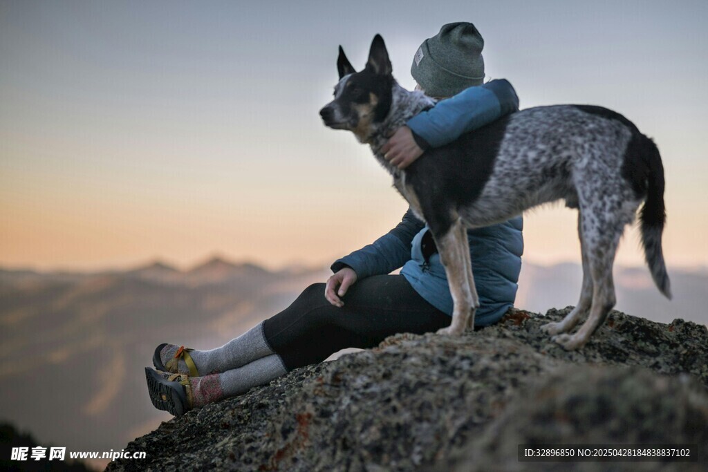 人与犬共赏山间美景