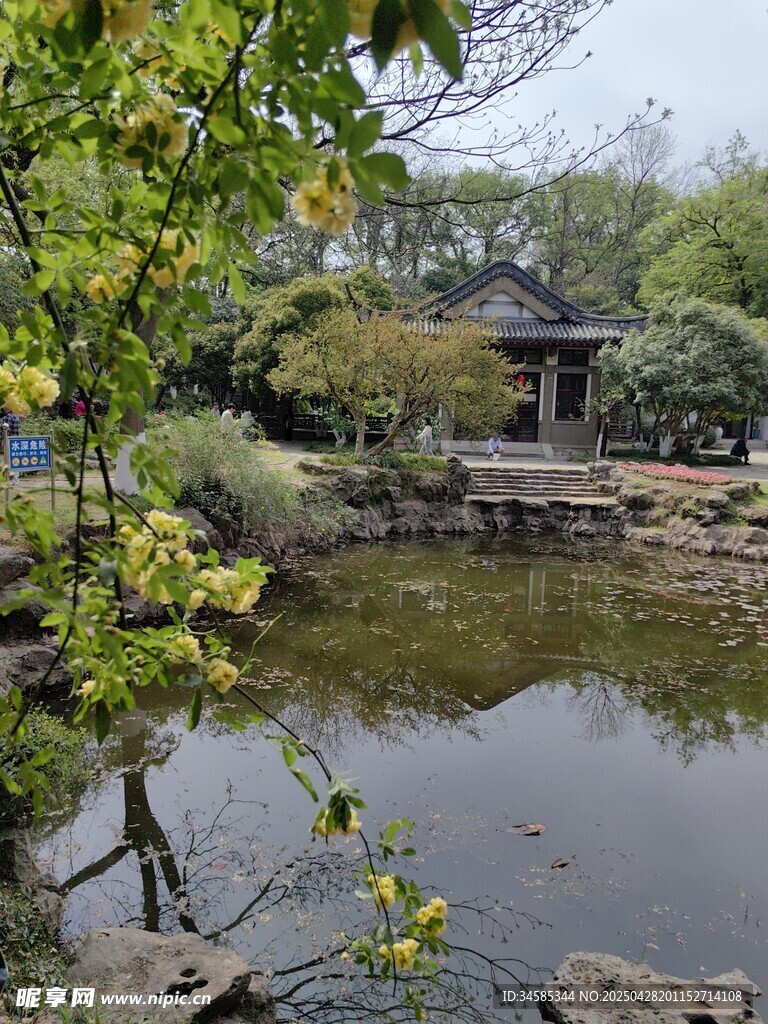 中式园林池塘景致