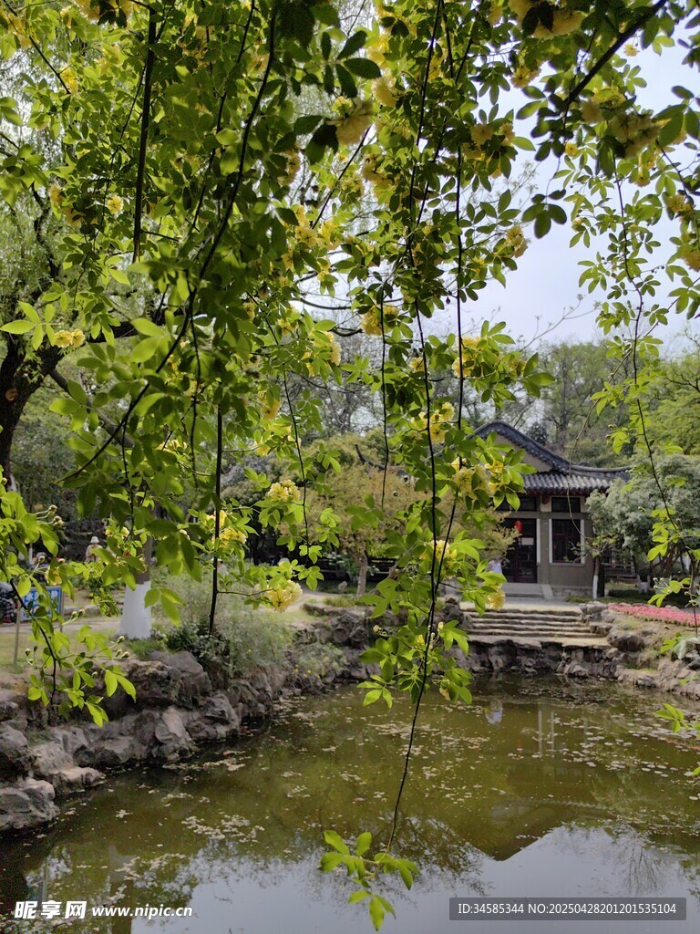 中式园林湖畔清幽景致