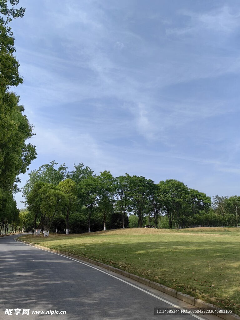 郊外林荫路风景