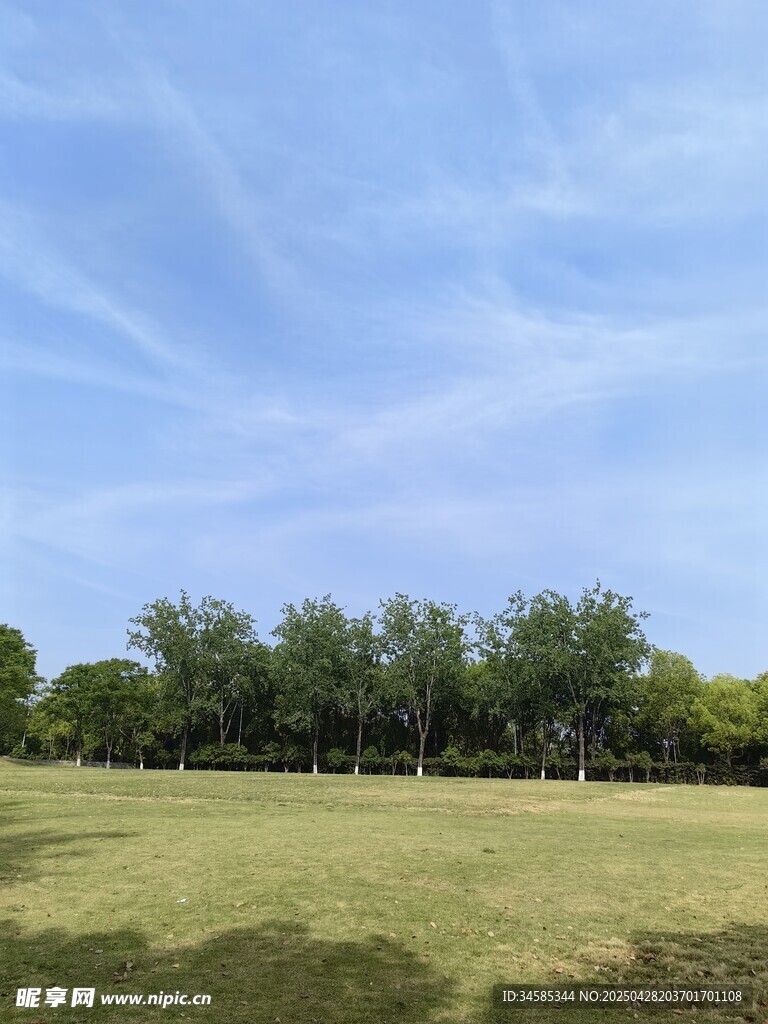 开阔草地与蓝天绿树景观
