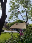 绿荫环绕的温馨小屋