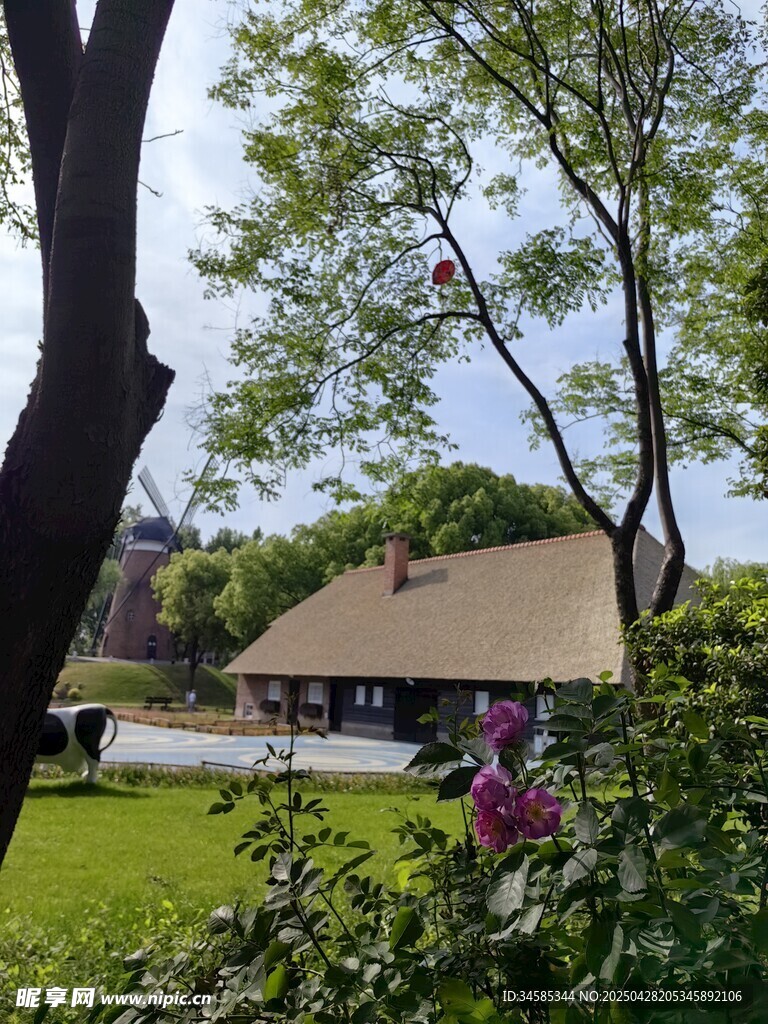 绿荫环绕的温馨小屋