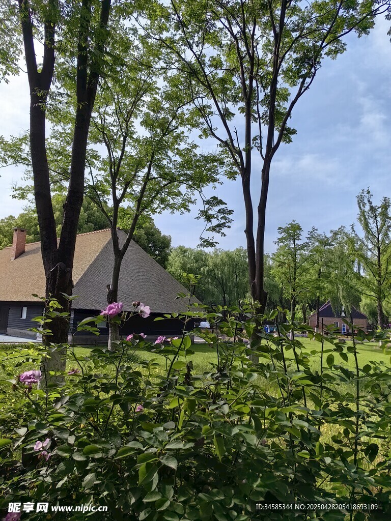 乡村绿意盎然的田园景致