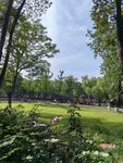 绿意盎然的公园美景