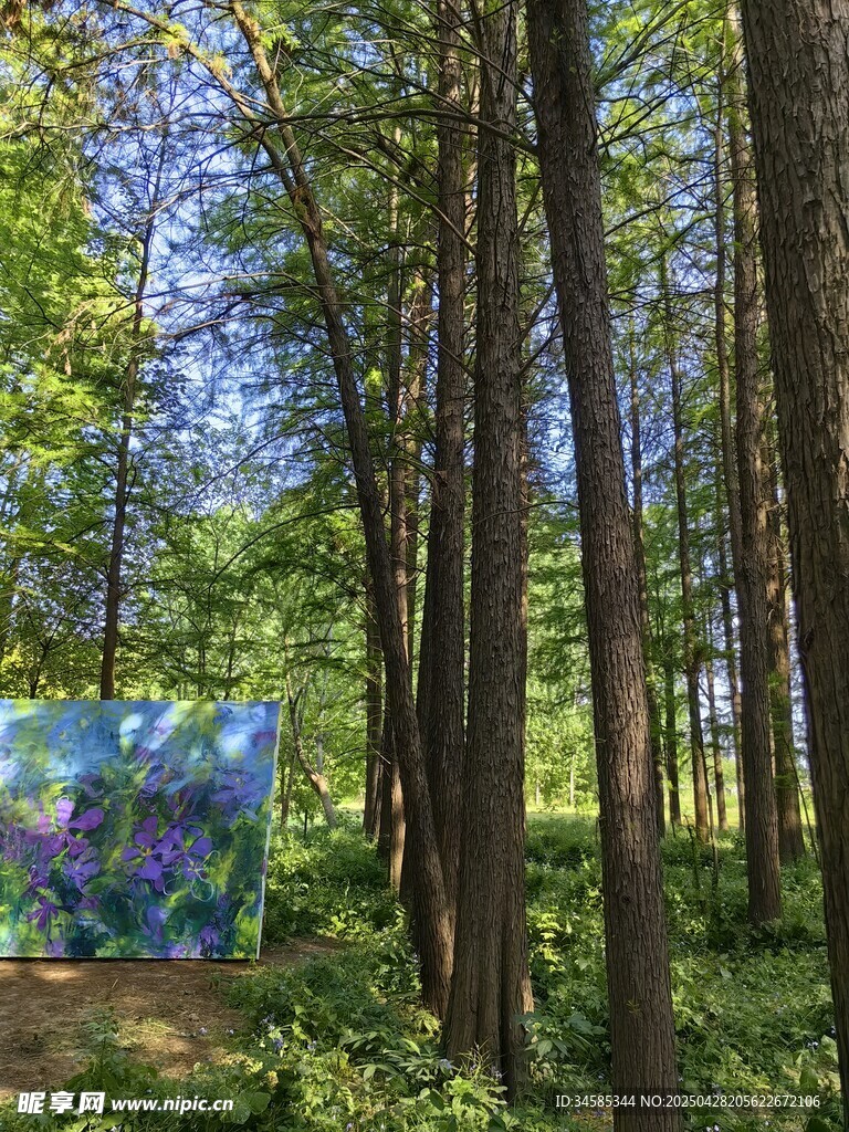 森林中的梦幻艺术画作