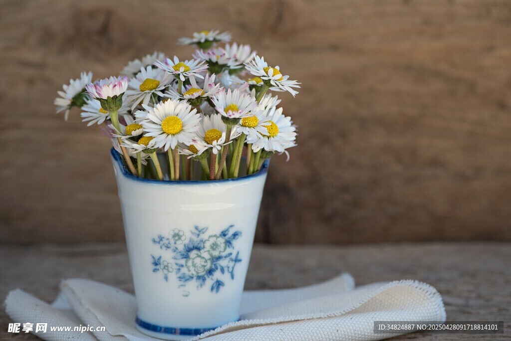 蓝白花瓶中的清新小雏菊