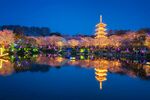 西湖夜景中的宝塔与繁花