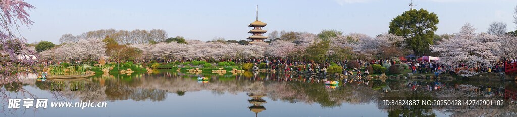 湖畔美景