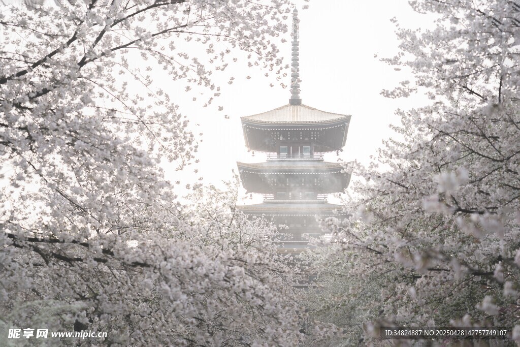 雪中古塔映繁花