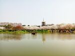 湖畔古塔春色美