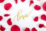 爱心玫瑰花瓣与金色love