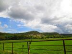 田园绿野间的围栏风景