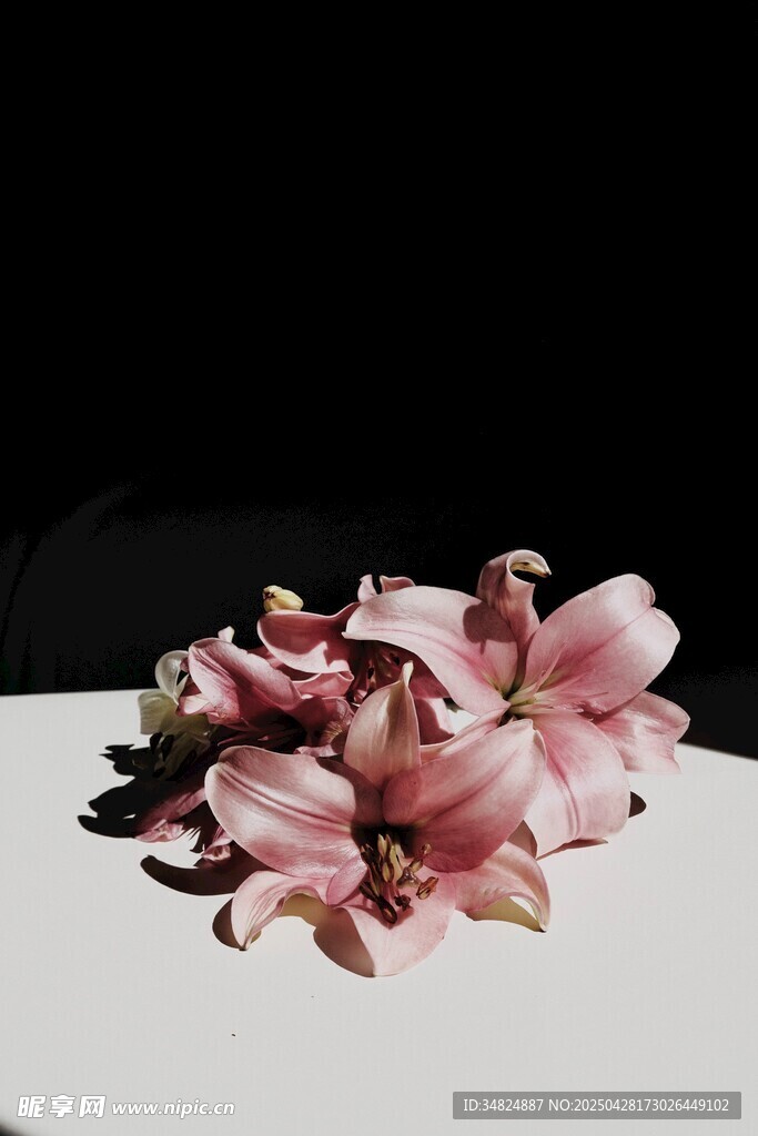 粉色百合花束优雅绽放