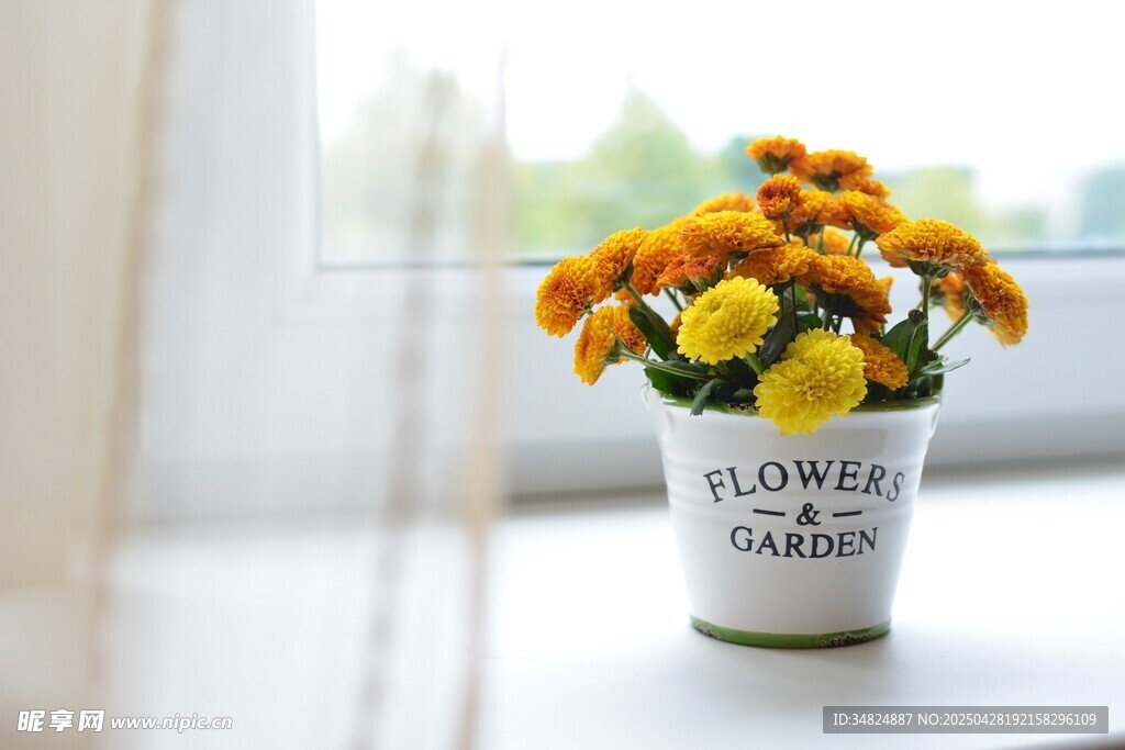 窗边花瓶中的灿烂小菊花