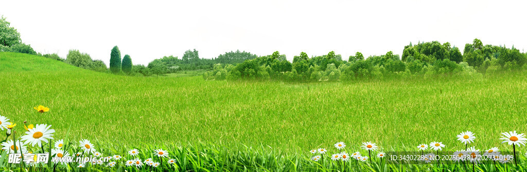 免扣草地