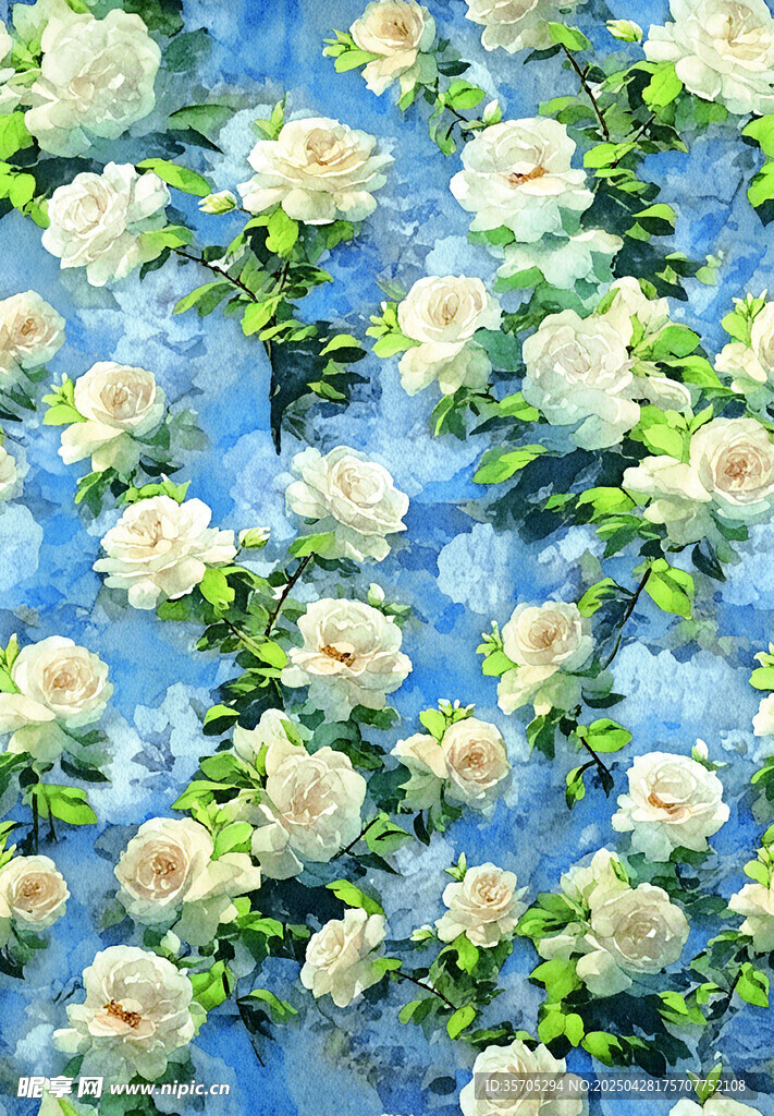 蓝底白玫瑰花海美景