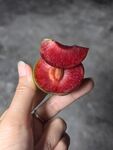 手托红心脆李切片