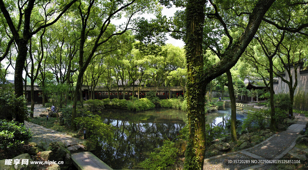 林间静谧池塘景观