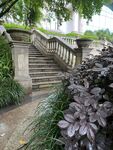 花园中的石阶与绿植景观