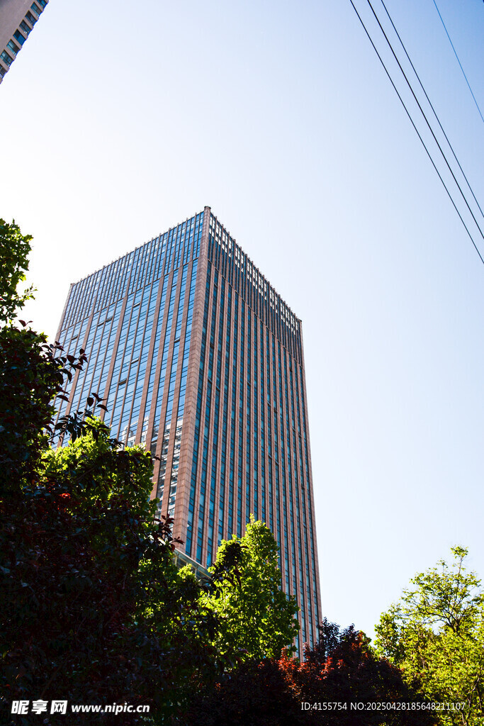 城市中高耸的现代玻璃大楼