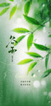 谷雨海报设计