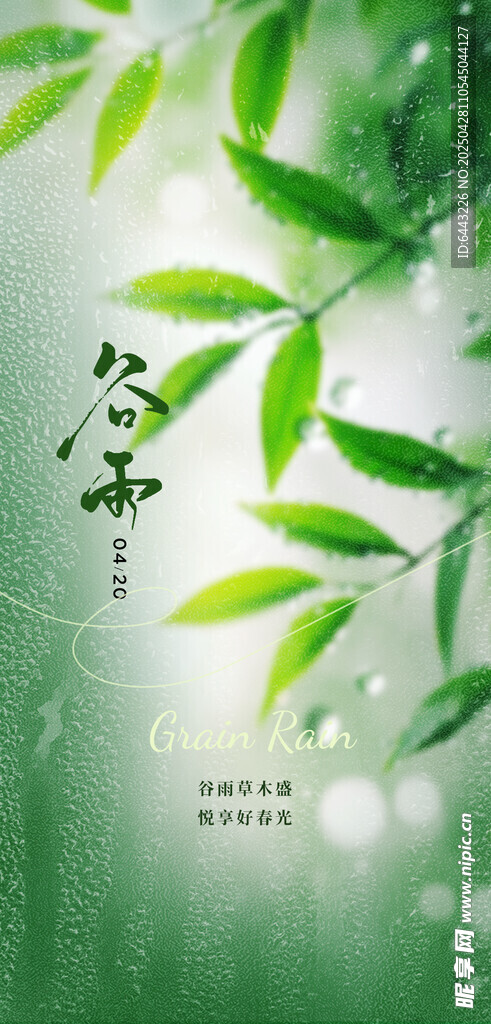 谷雨海报设计