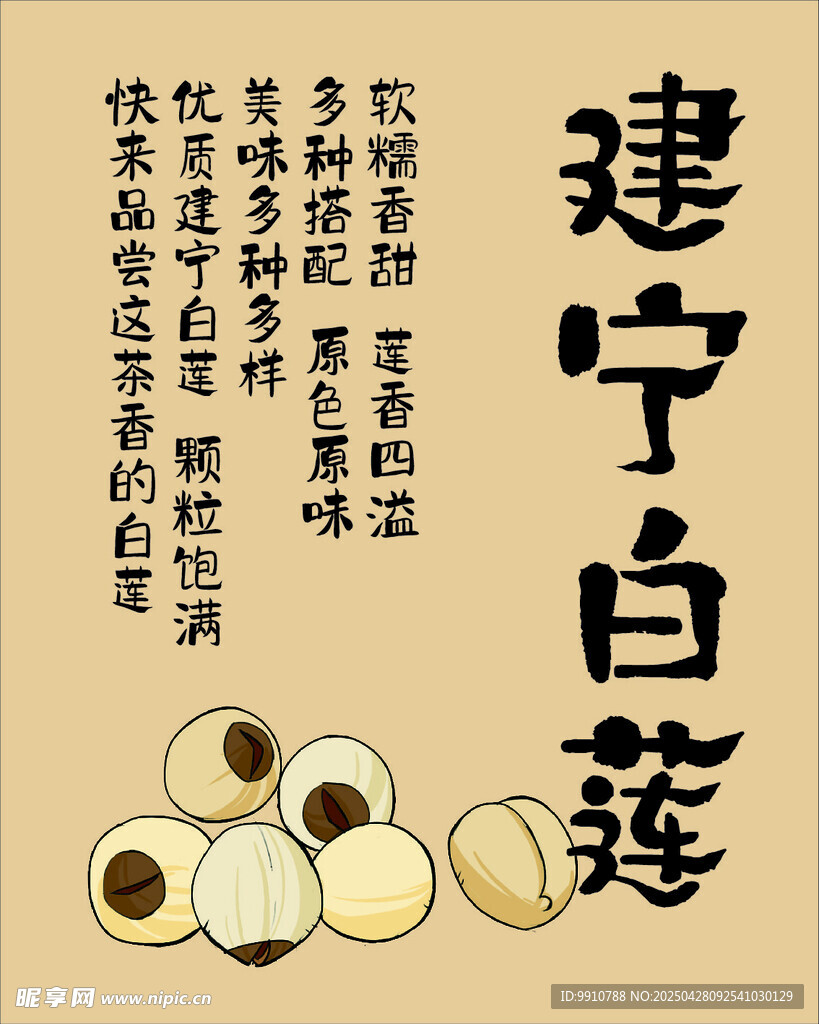 建宁白莲