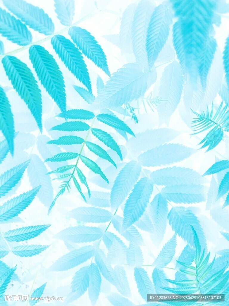 清新蓝调热带植物背景图