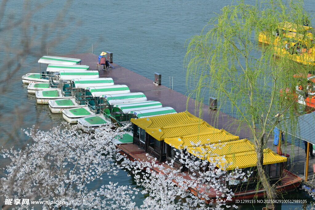 湖畔彩舟伴繁花美景