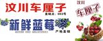 车厘子蓝莓