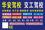 驾校招生海报
