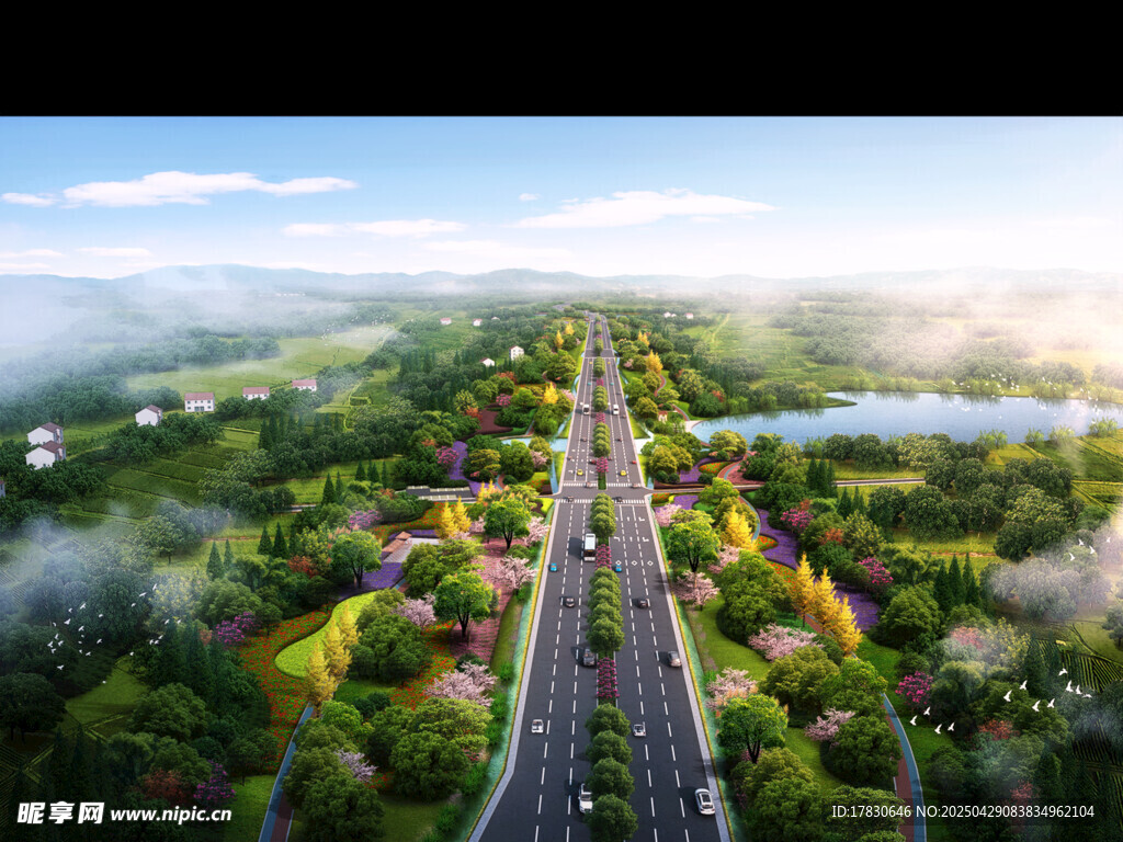 俯瞰绿意盎然的宽阔公路