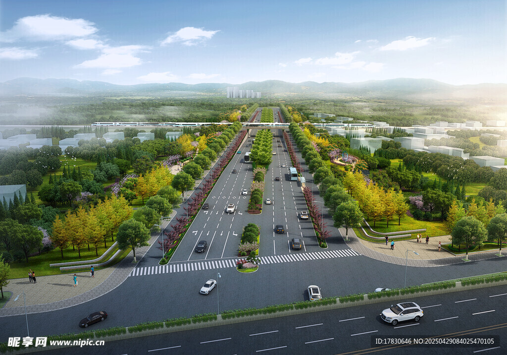 宽阔公路两旁绿树成荫