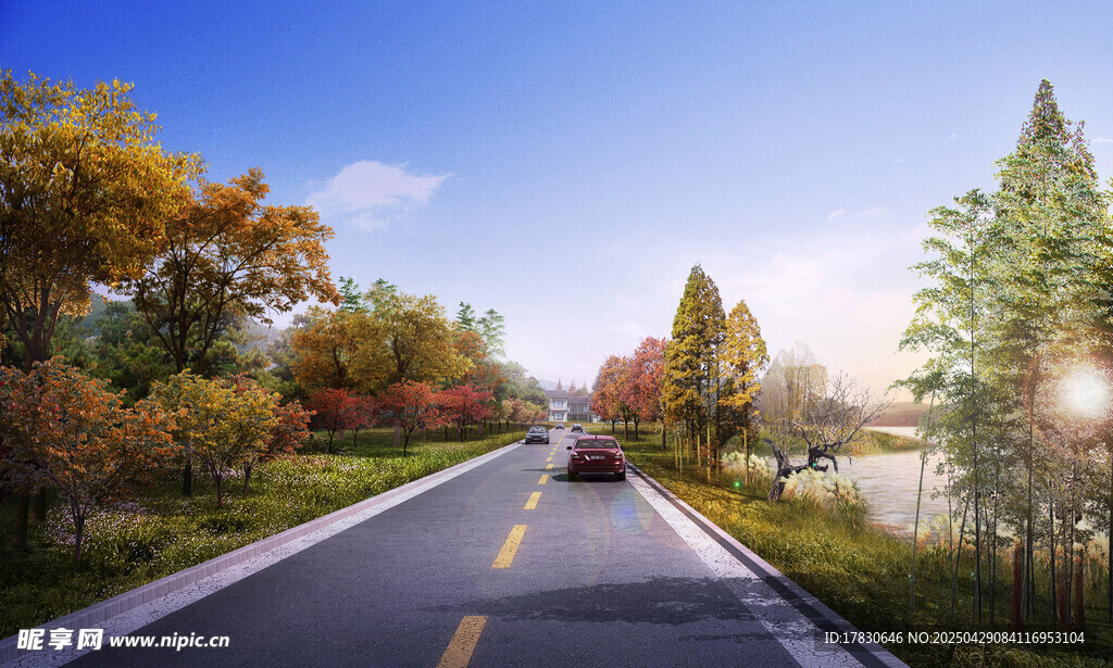 秋日林间公路美景