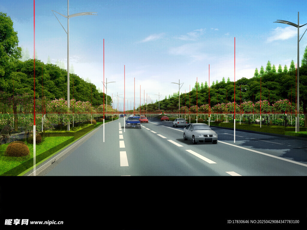 宽阔公路上的车辆与绿树