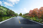 秋日林荫公路美景