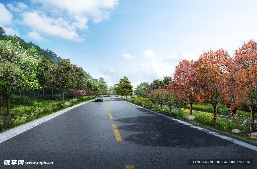 秋日林荫公路美景