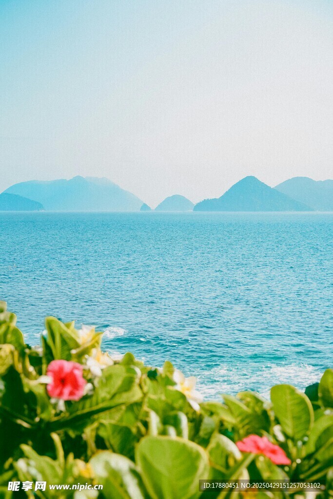 海边繁花