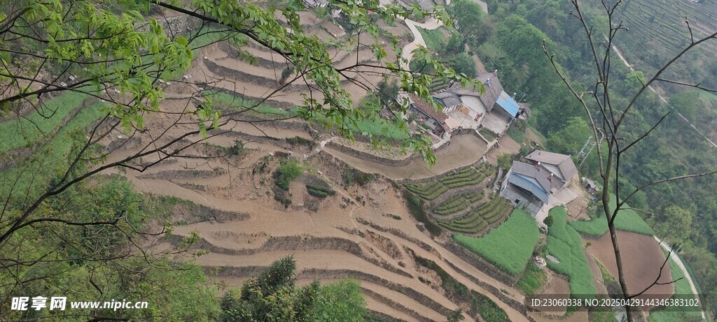 山间梯田美景