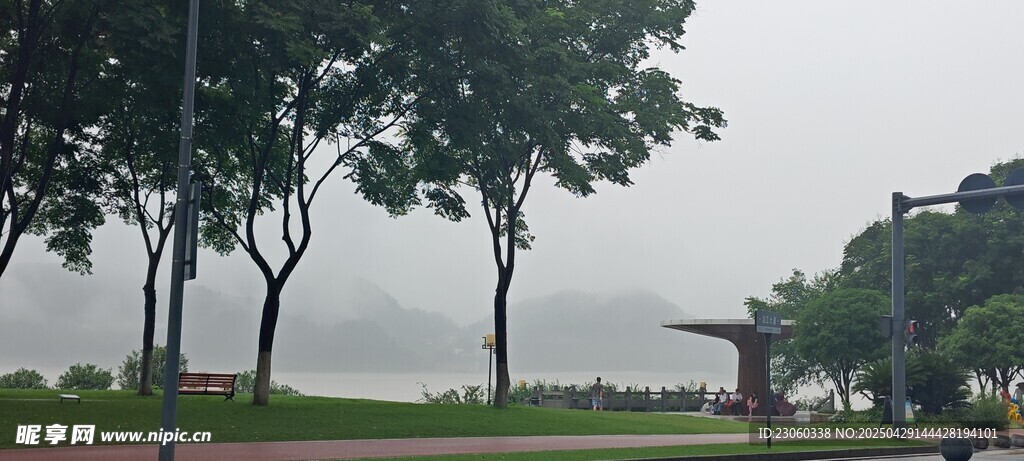 雨中河畔绿树景观