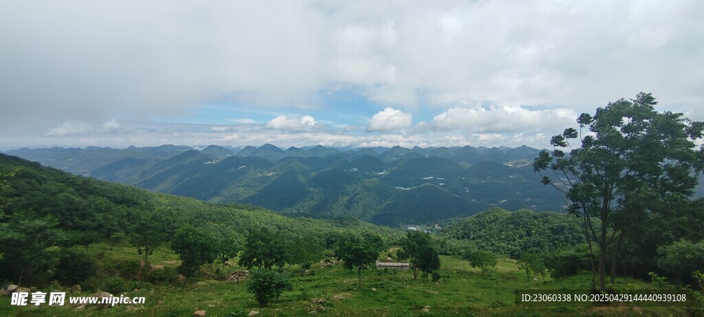山峦绿树间的开阔景致