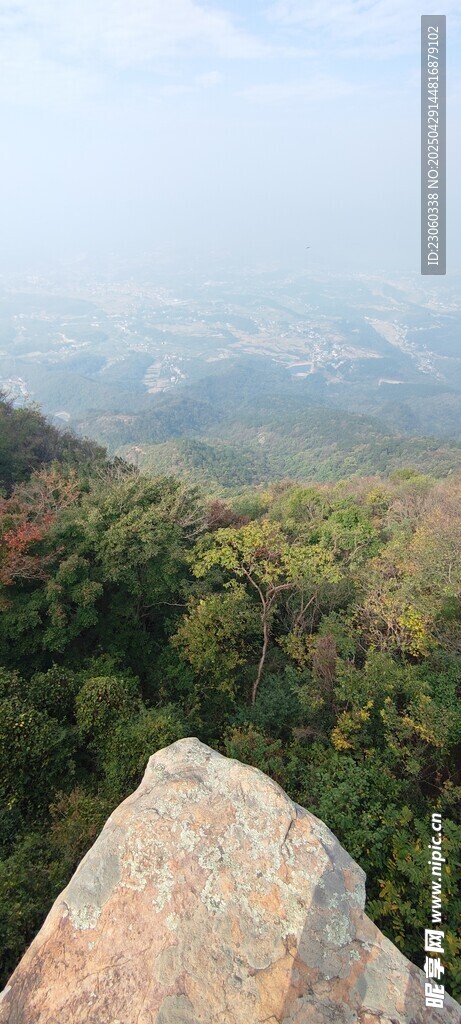 山顶俯瞰绿意盎然景色