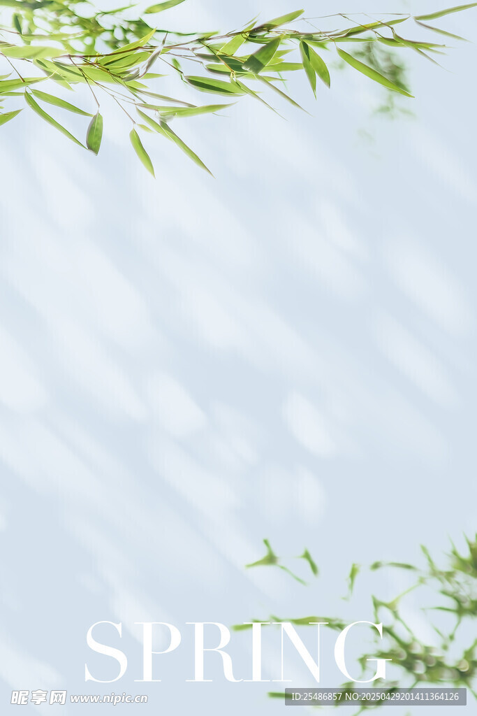 照片前背景