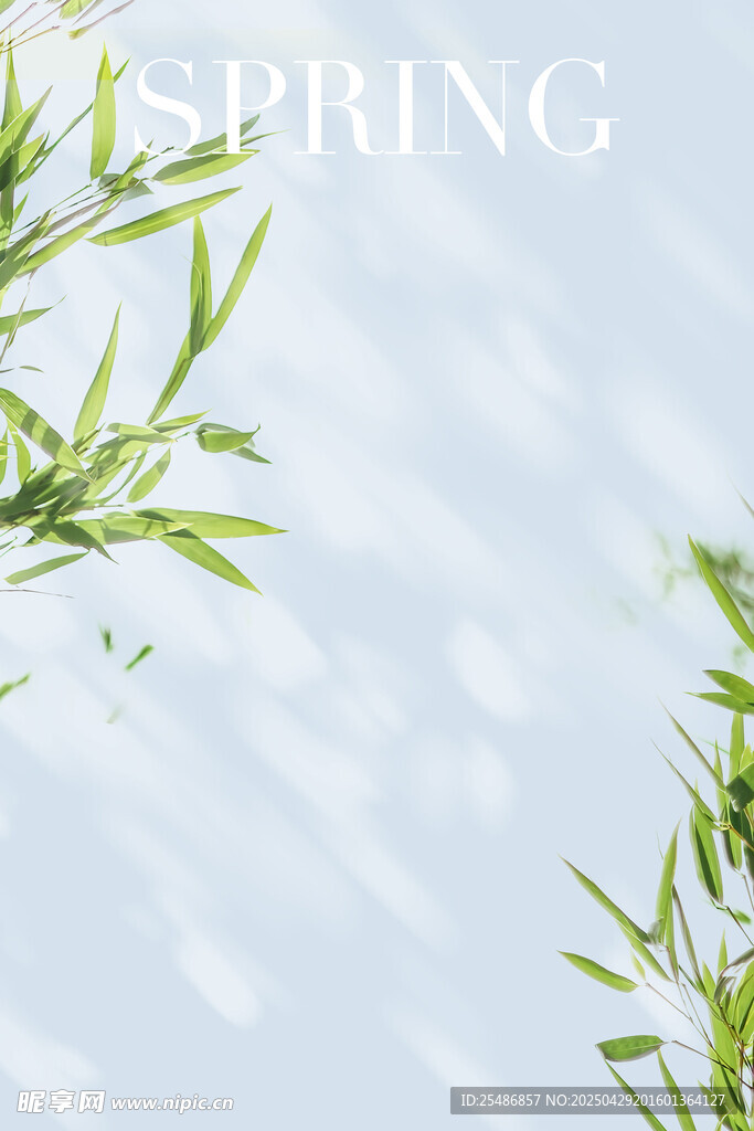 照片前背景