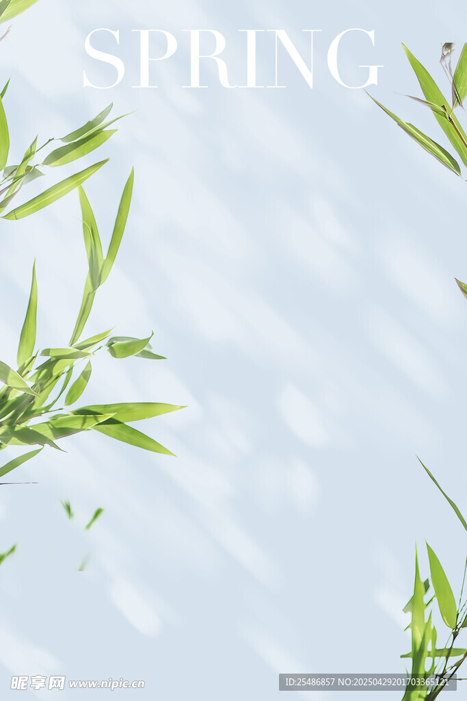 照片前背景