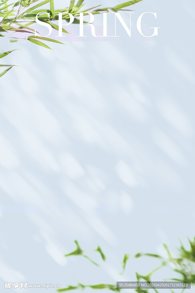 照片前背景