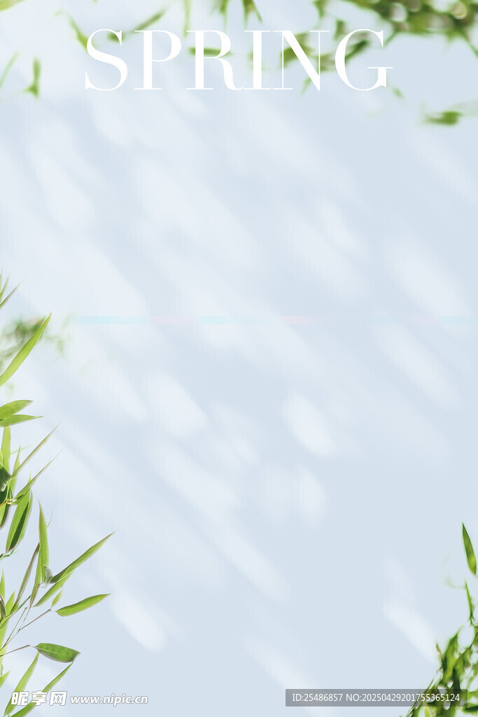 照片前背景