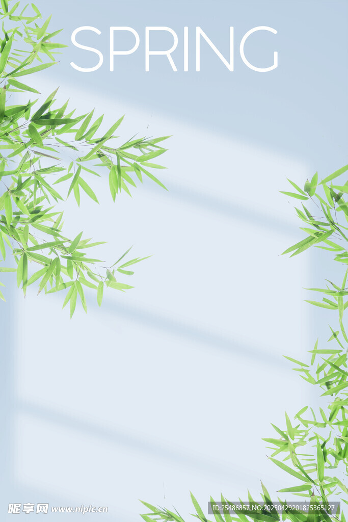 照片前背景