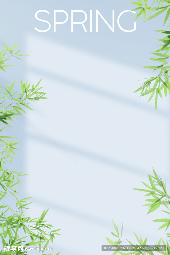 照片前背景